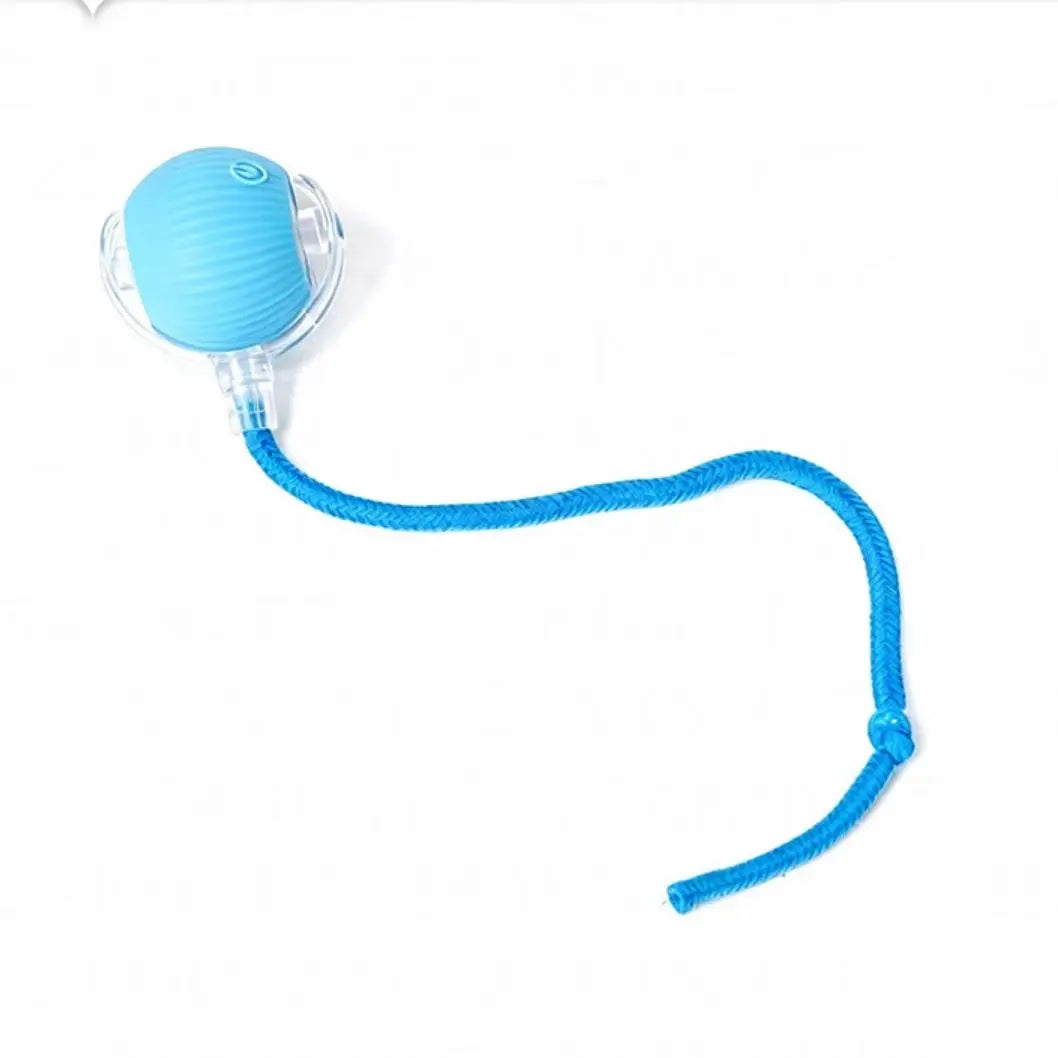 Interactive USB-Charged Rolling Ball Cat Toy with Teasing Stick - Durable and Safe Anti-Boredom Supplies for All Breeds