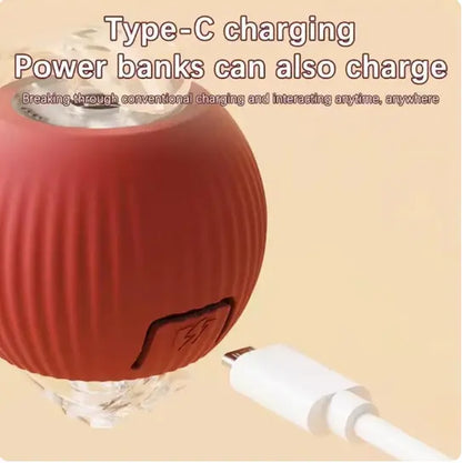 Interactive USB-Charged Rolling Ball Cat Toy with Teasing Stick - Durable and Safe Anti-Boredom Supplies for All Breeds