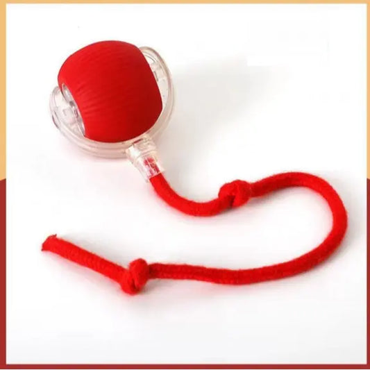 Interactive USB-Charged Rolling Ball Cat Toy with Teasing Stick - Durable and Safe Anti-Boredom Supplies for All Breeds