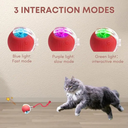 Interactive USB-Charged Rolling Ball Cat Toy with Teasing Stick - Durable and Safe Anti-Boredom Supplies for All Breeds